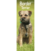 Calendrier Mural Etroit 2025 Border Terrier