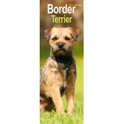 Calendrier Mural Etroit 2025 Border Terrier