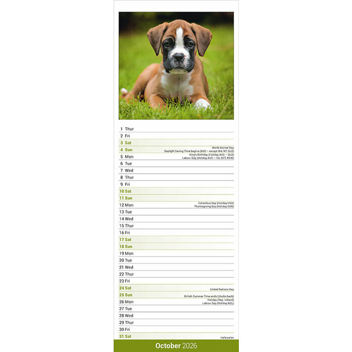 Calendrier papier Etroit 2026 Border Terrier