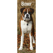 Calendrier Mural Etroit 2025 Boxer
