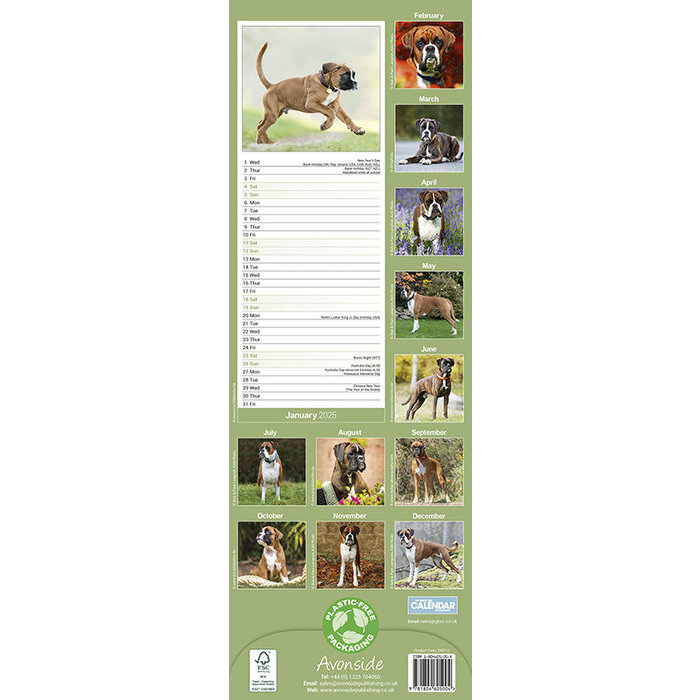 Calendrier Mural 2025 Boxer
