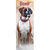 Calendrier Etroit 2026 Border Terrier