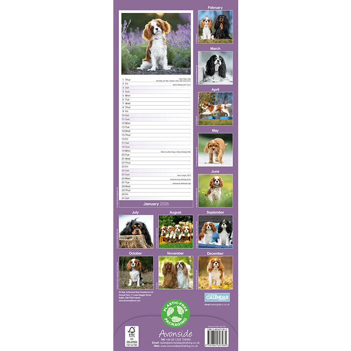Calendrier papier 2026 Etroit Cavalier King Charles