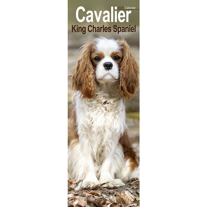 Calendrier Mural 2025 Etroit Cavalier King Charles