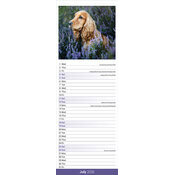 Calendrier Etroit 2026 Cocker Anglais papier