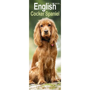 Calendrier Etroit Slim 2025 Cocker Anglais