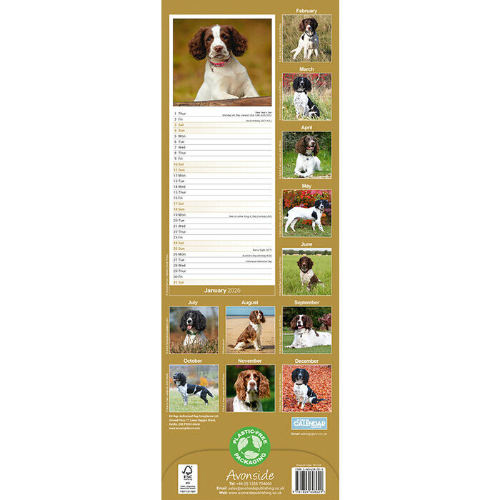 Calendrier papier Etroit 2026 Springer Spaniel