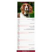Calendrier  Etroit 2026 Springer Spaniel