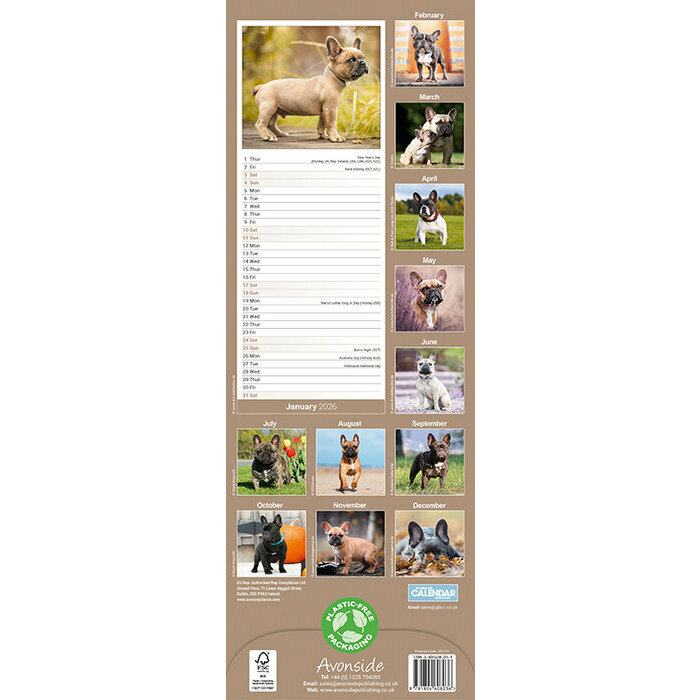 Calendrier Etroit 2026 Bouledogue Français