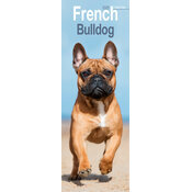 Calendrier Mural Etroit 2026 Bouledogue Français