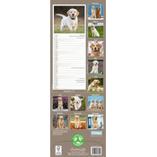 Calendrier papier 2026 Golden Slim