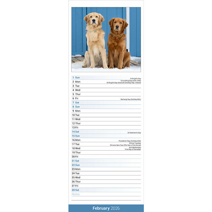 Calendrier Mural 2026 Golden 