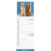 Calendrier Chiots Golden retriever 2025