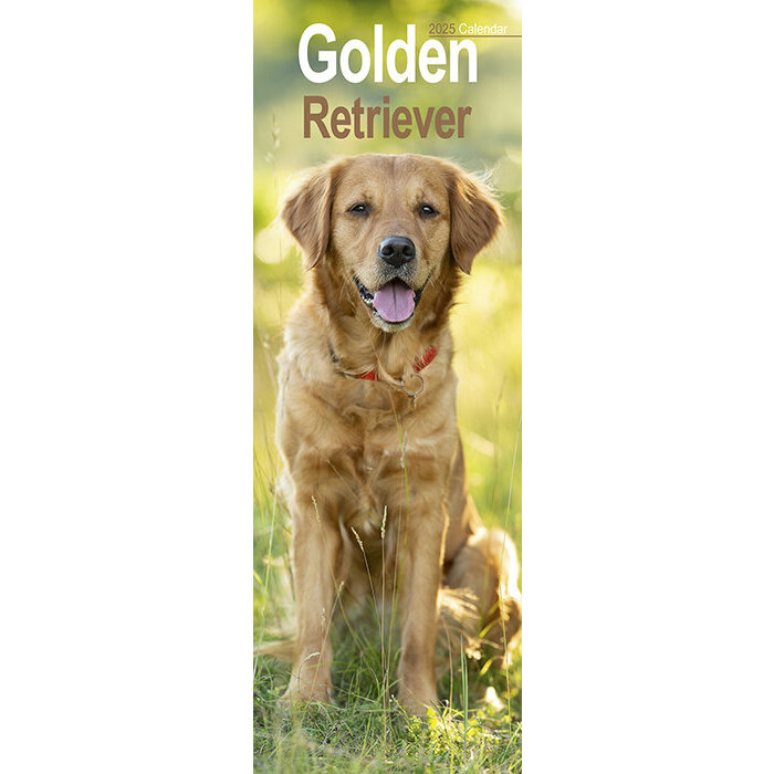 Calendrier Mural 2025 Golden Slim