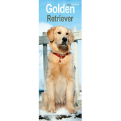 Calendrier Mural 2026 Golden Slim