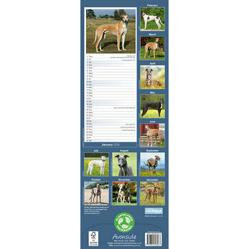 Calendrier Etroit Slim 2026 Greyhound