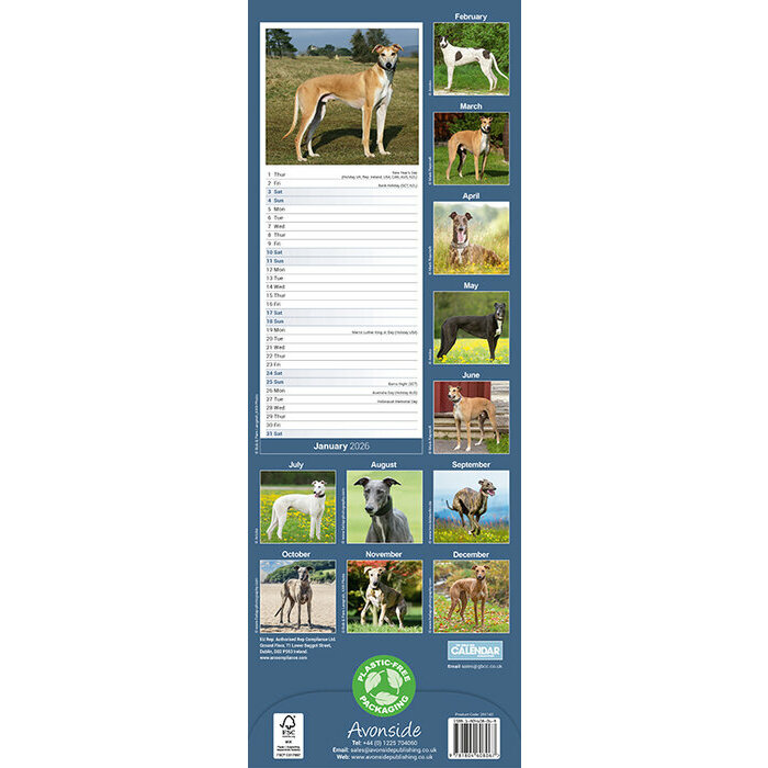 Calendrier papier 2026 Greyhound