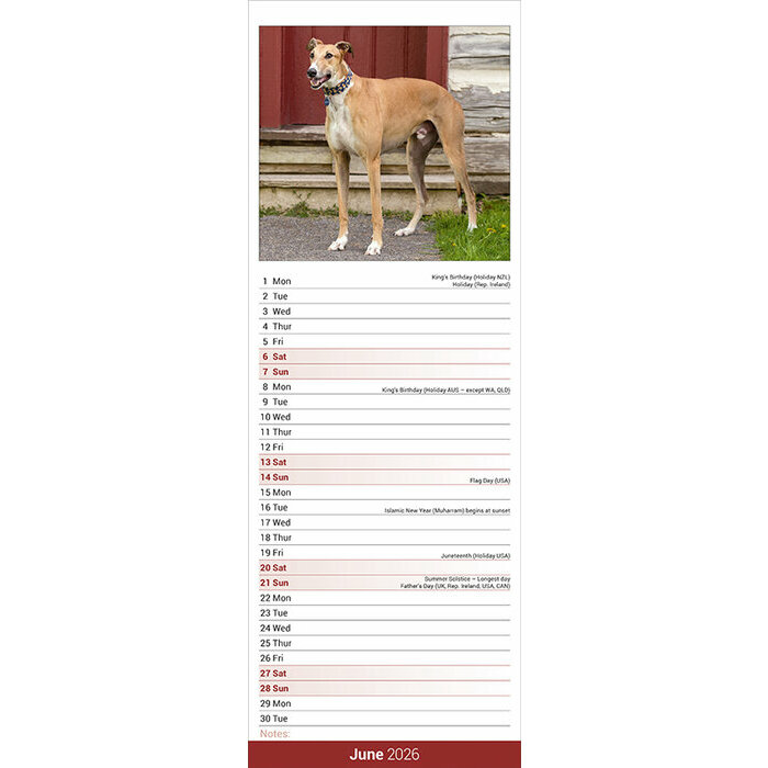 Calendrier Mural 2026 Greyhound