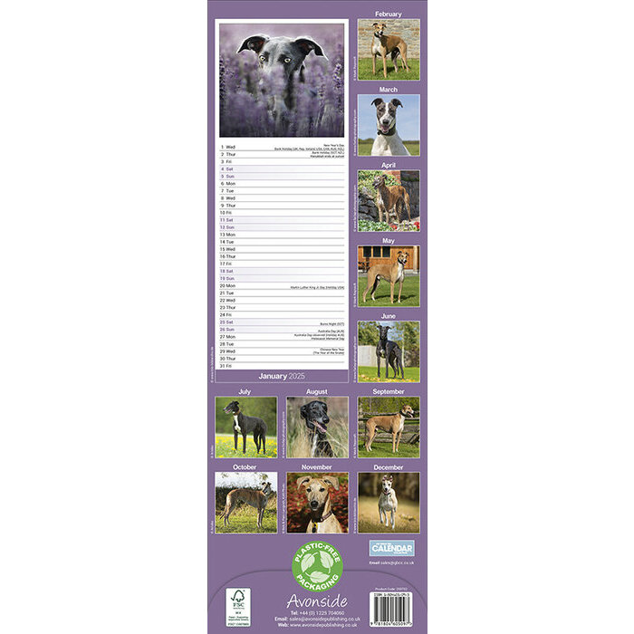 Calendrier Etroit 2025 Greyhound