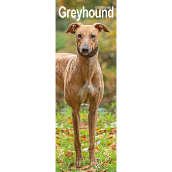 Calendrier Etroit Slim 2026 Greyhound