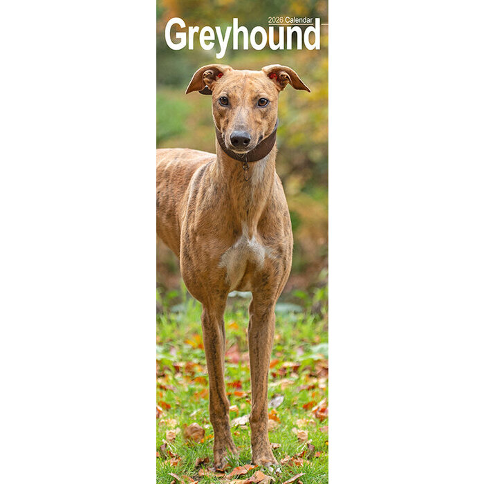 Calendrier Mural 2026 Greyhound