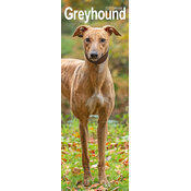 Calendrier Mural 2026 Greyhound