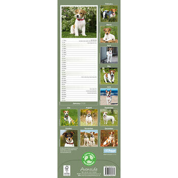 Calendrier Etroit Slim 2025 Jack Russell