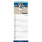 Calendrier papier 2026 Jack Russell