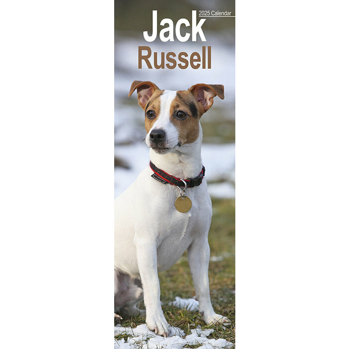 Calendrier Mural Etroit 2025 Jack Russell