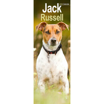 Calendrier Etroit Slim 2025 Jack Russell