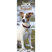 Calendrier Mural Etroit 2025 Jack Russell