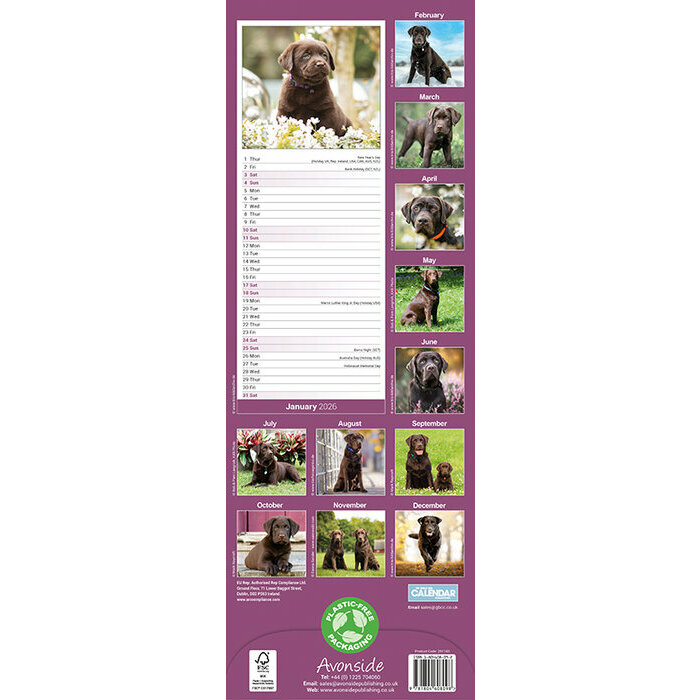 Calendrier papier Slim Labrador Chocolat 2025