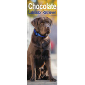 Calendrier Slim Labrador Chocolat 2025