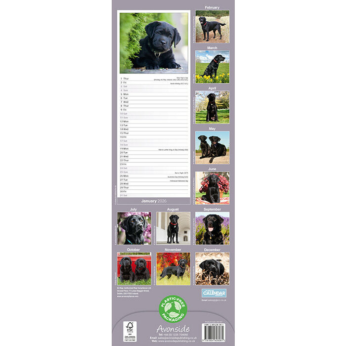 Calendrier Etroit 2026 Labrador Noir