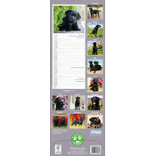 Calendrier Etroit 2026 Labrador Noir