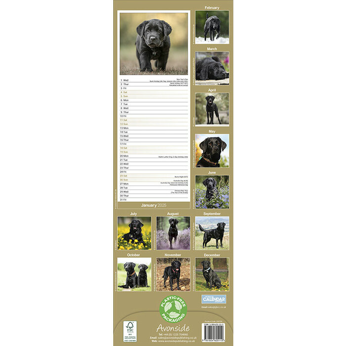 Calendrier Slim 2025 Labrador Noir