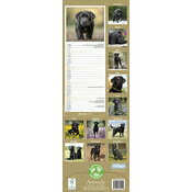 Calendrier Slim 2025 Labrador Noir
