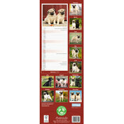 Calendrier 2026 Labrador Sable