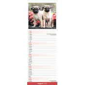 Calendrier papier 2026 Labrador Sable