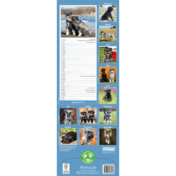 Calendrier Etroit Slim 2026 Schnauzer