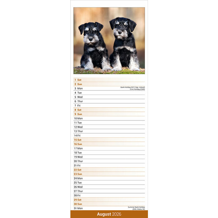 Calendrier Mural papier Schnauzer 2026