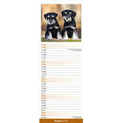 Calendrier Mural papier Schnauzer 2026