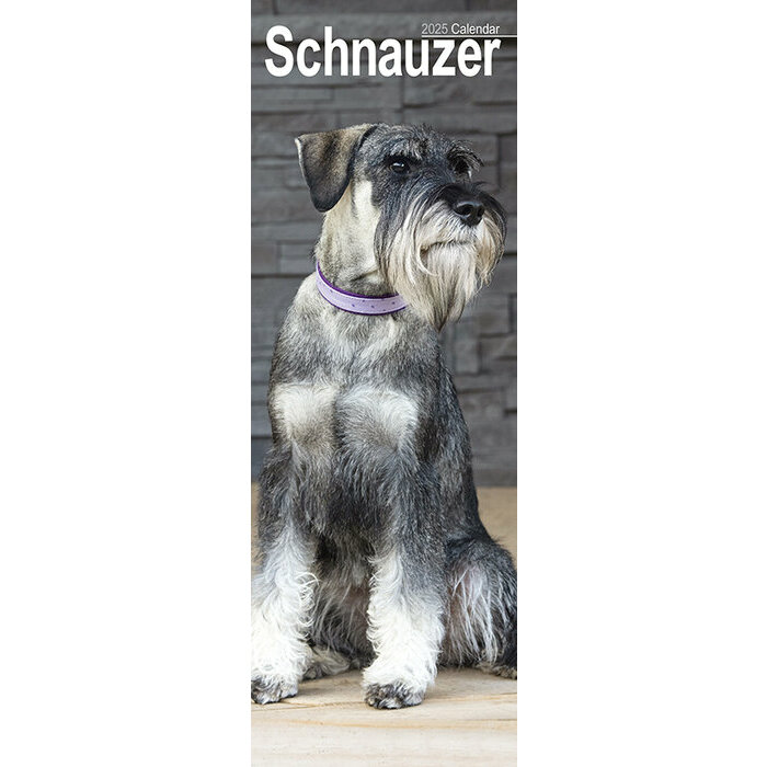 Calendrier Mural Schnauzer 2025