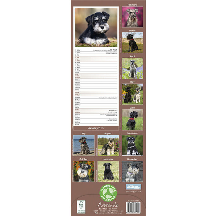 Calendrier Etroit 2025 Schnauzer