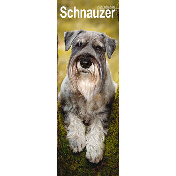 Calendrier Etroit Slim 2026 Schnauzer