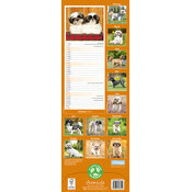 Calendrier Etroit 2025 Shih tzu