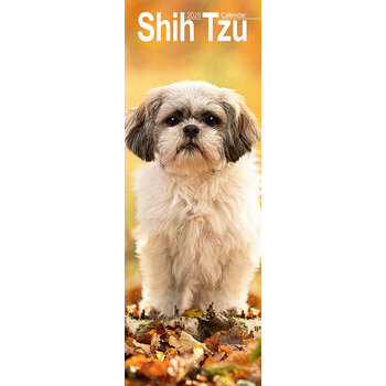 Calendrier Etroit Slim 2025 Shih Tzu