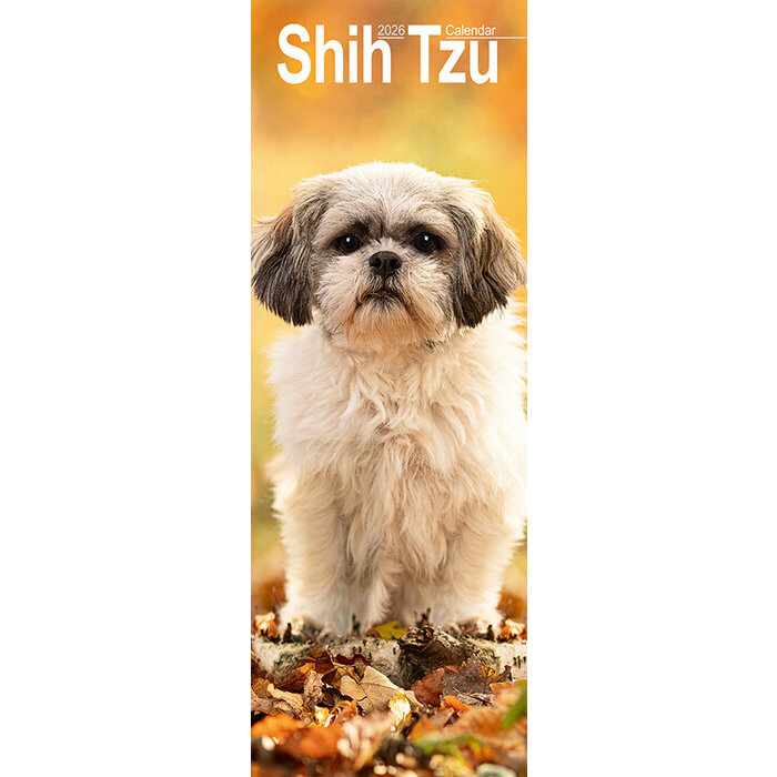 Calendrier Slim 2025 Shih Tzu