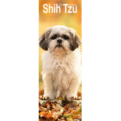 Calendrier Slim 2025 Shih Tzu