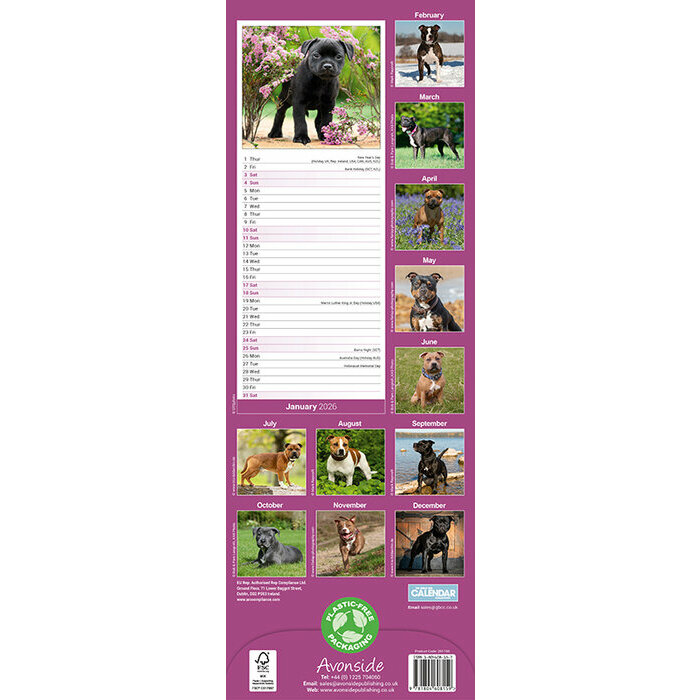 Calendrier Slim mural Staffordshire Bull Terrier 2026
